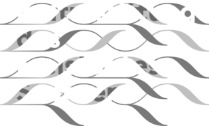 Logo Kulturstiftung Dresden