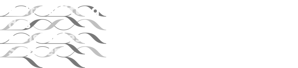 Logo Kulturstiftung Sachsen